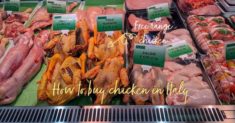 Chicken road casino, chicken road italia