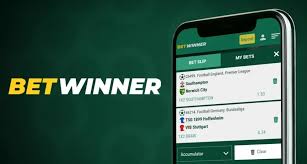 Exploring the BetWinner Platform A Comprehensive Review Exploring the BetWinner Platform A Comprehensive Review